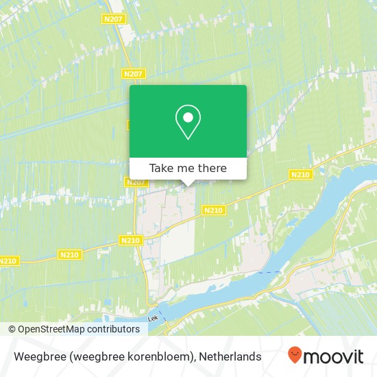 Weegbree (weegbree korenbloem), 2861 WT Bergambacht map