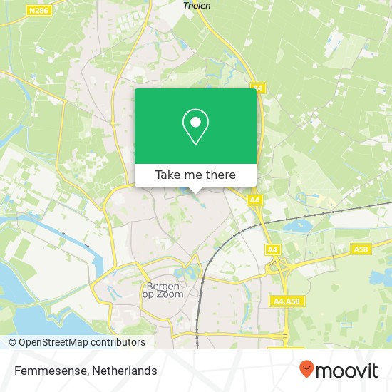 Femmesense, Bijsterveld 43 map