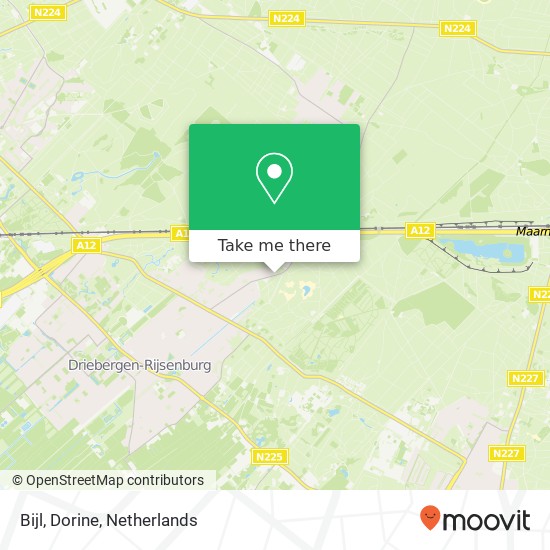 Bijl, Dorine map