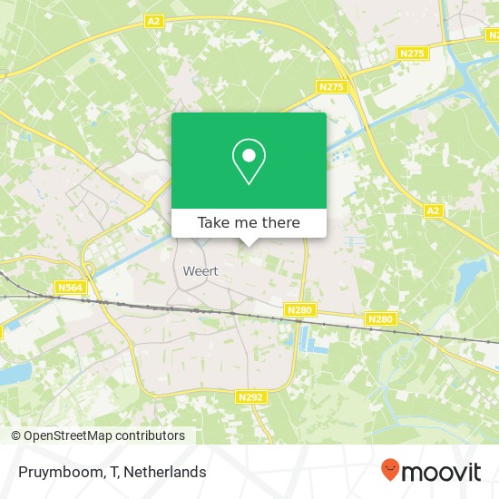 Pruymboom, T map