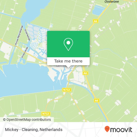 Mickey - Cleaning map