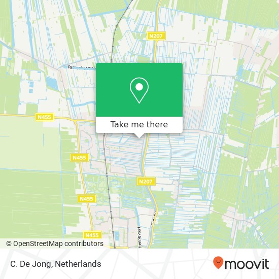 C. De Jong map