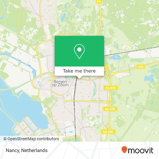 Nancy map