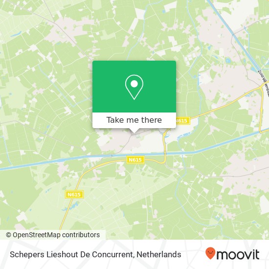 Schepers Lieshout De Concurrent map