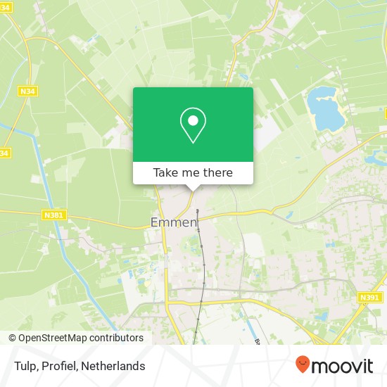 Tulp, Profiel map