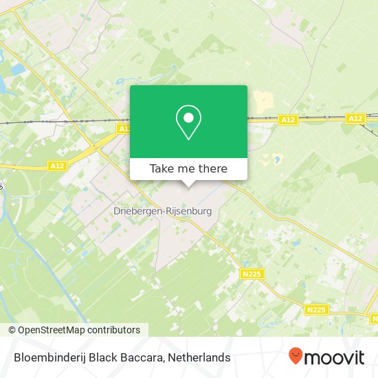 Bloembinderij Black Baccara map