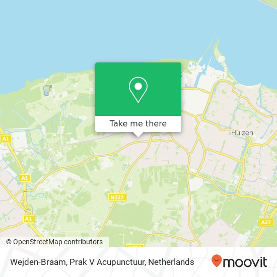 Wejden-Braam, Prak V Acupunctuur map