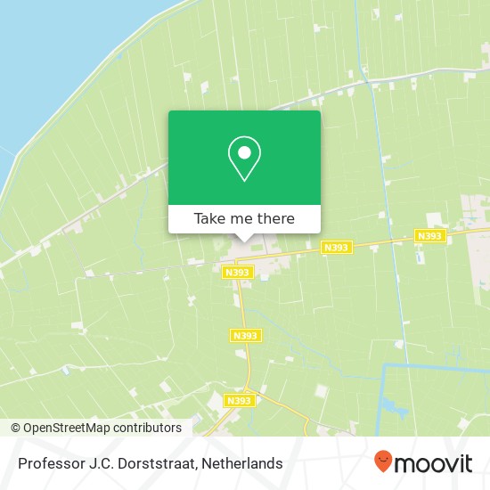 Professor J.C. Dorststraat, 9079 KL St.-Jacobiparochie map