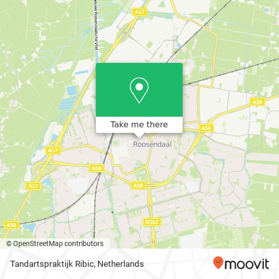 Tandartspraktijk Ribic, Dunantstraat map