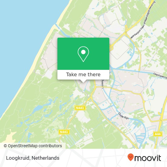 Loogkruid, Loogkruid, 2224 GJ Katwijk aan Zee, Nederland map