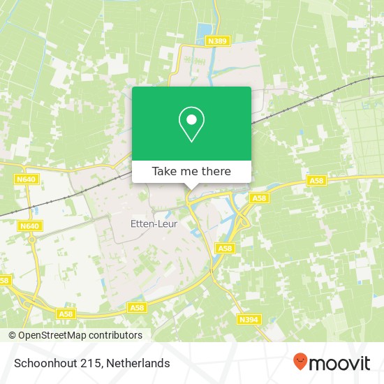 Schoonhout 215, Schoonhout 215, 4872 MC Etten-Leur, Nederland Karte