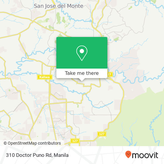 310 Doctor Puno Rd map