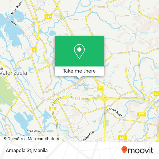 Amapola St map