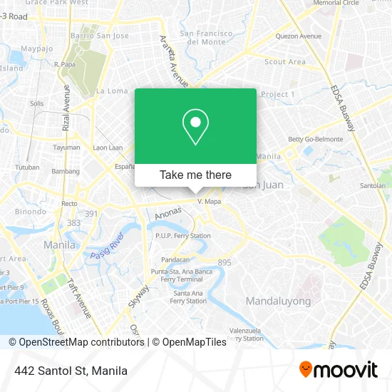 442 Santol St map