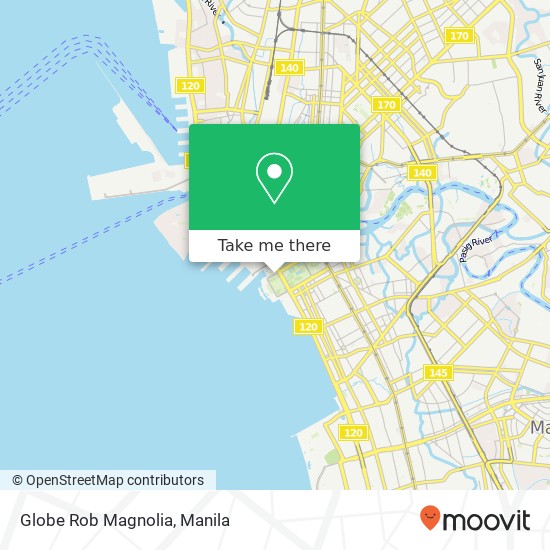 Globe Rob Magnolia map