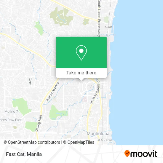 Fast Cat map