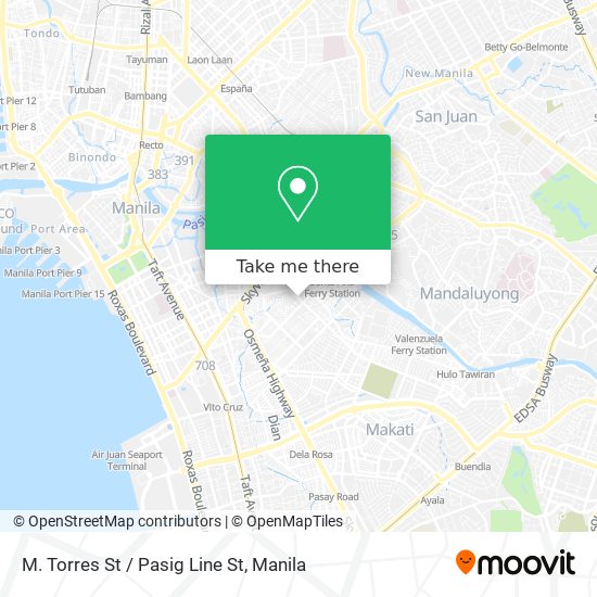 M. Torres St / Pasig Line St map