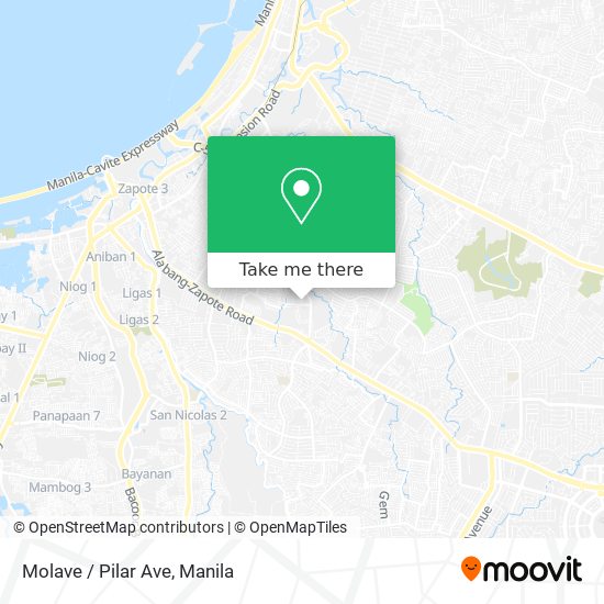 Molave / Pilar Ave map