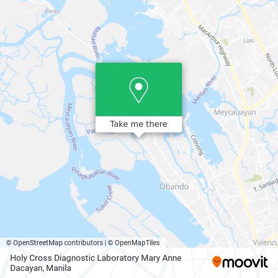 Holy Cross Diagnostic Laboratory Mary Anne Dacayan map