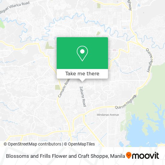 Blossoms and Frills Flower and Craft Shoppe map