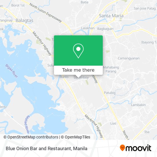 Blue Onion Bar and Restaurant map