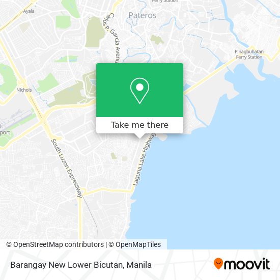 Barangay New Lower Bicutan map