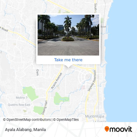 Ayala Alabang map