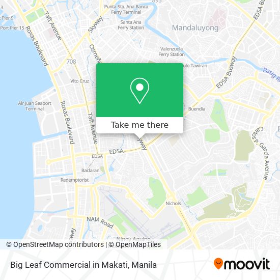 Big Leaf Commercial in Makati map
