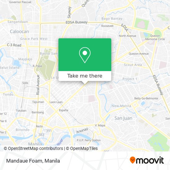 Mandaue Foam map