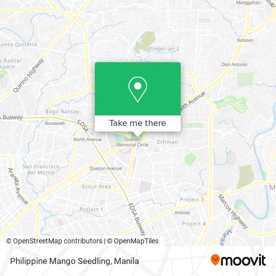 Philippine Mango Seedling map