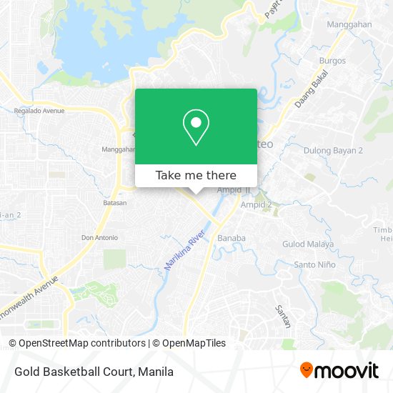 Gold Basketball Court map