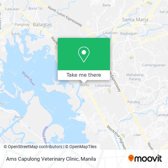 Ams Capulong Veterinary Clinic map