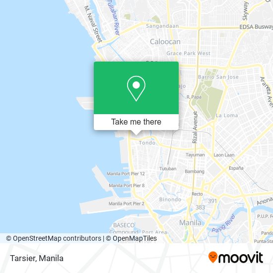 Tarsier map