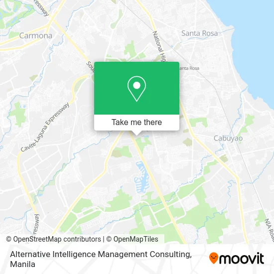 Alternative Intelligence Management Consulting map