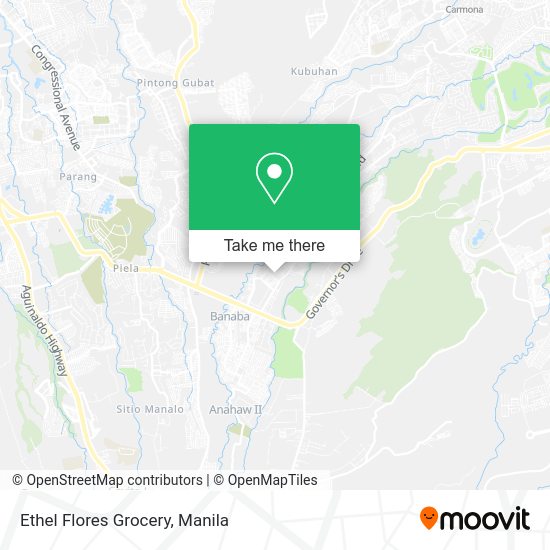 Ethel Flores Grocery map