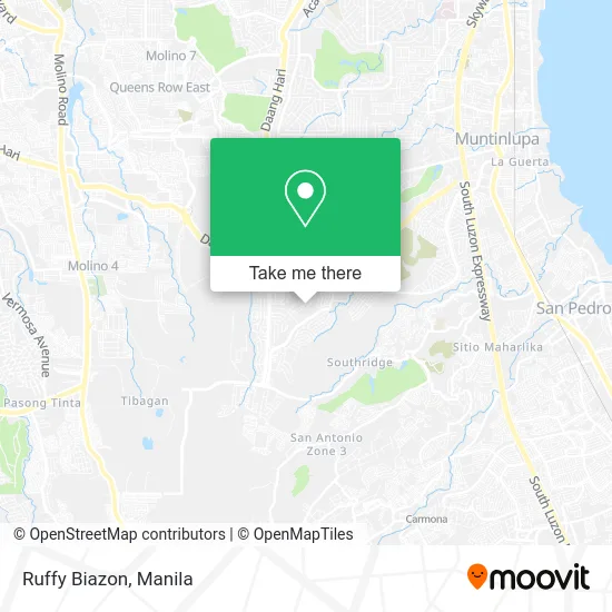 Ruffy Biazon map