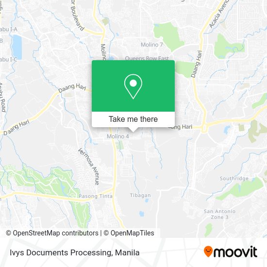Ivys Documents Processing map