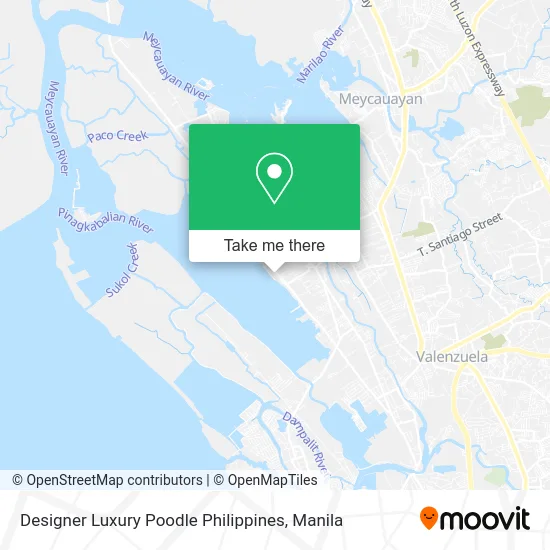Designer Luxury Poodle Philippines map