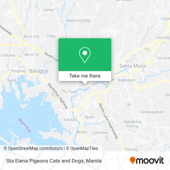 Sta Elena Pigeons Cats and Dogs map