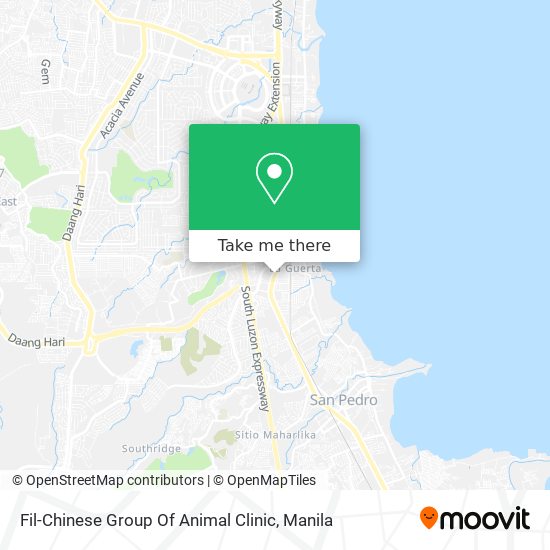 Fil-Chinese Group Of Animal Clinic map