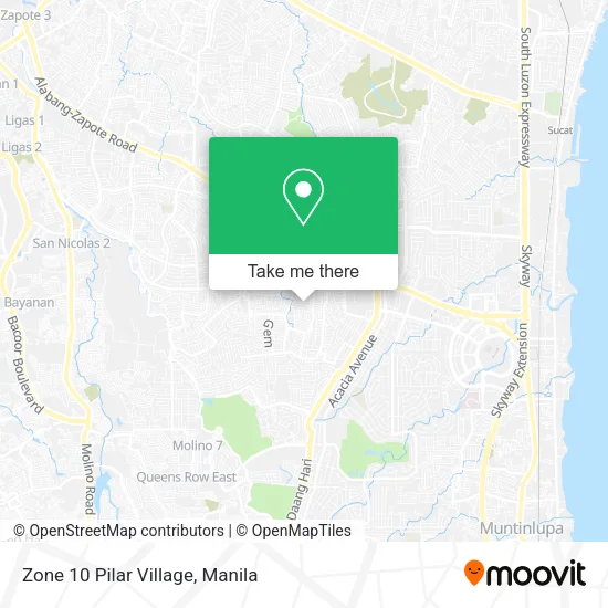 Zone 10 Pilar Village map