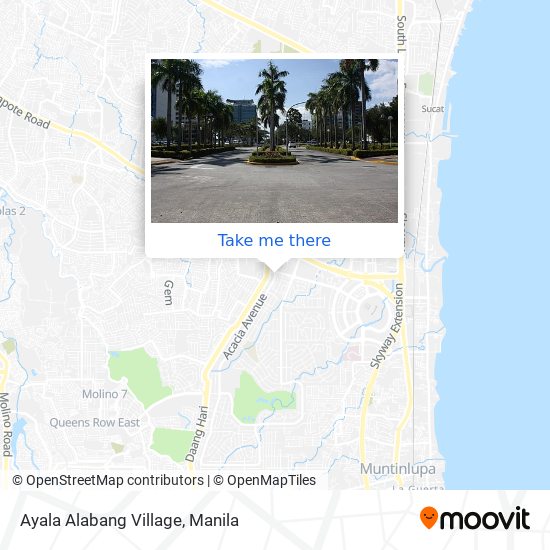 Ayala Alabang Village map