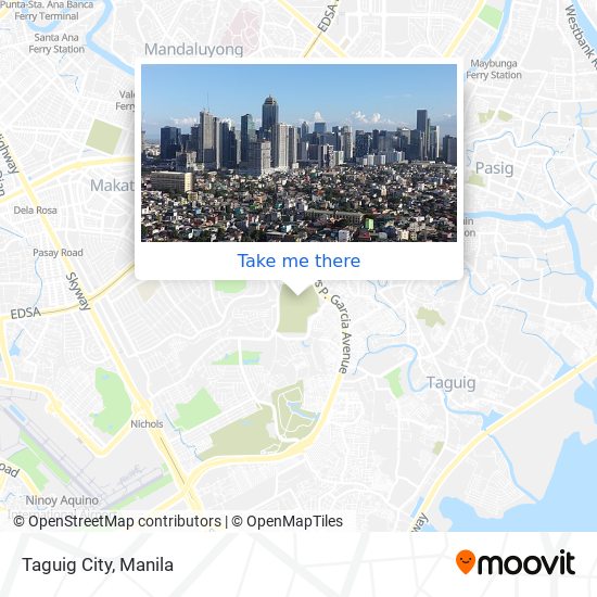 Taguig City map