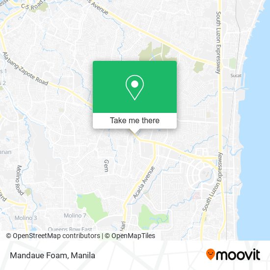 Mandaue Foam map