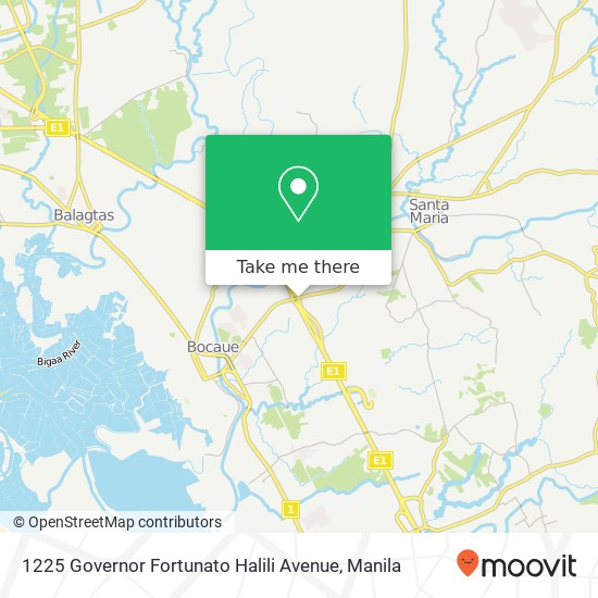 1225 Governor Fortunato Halili Avenue map