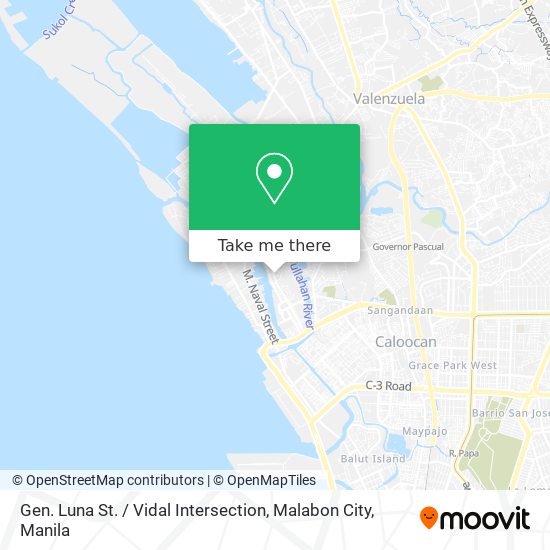 Gen. Luna St. / Vidal Intersection, Malabon City map