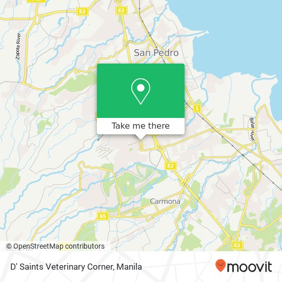 D' Saints Veterinary Corner map