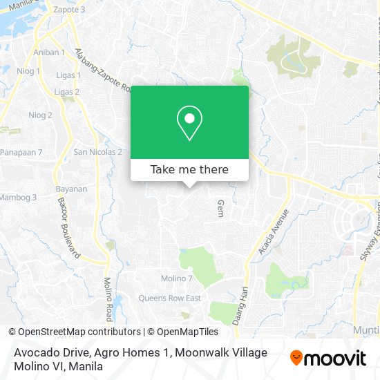 Avocado Drive, Agro Homes 1, Moonwalk Village Molino VI map