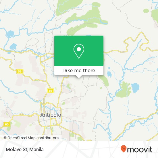 Molave St map