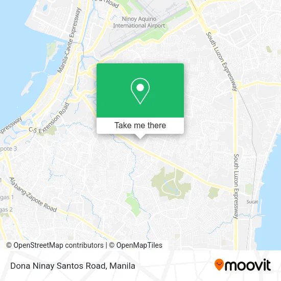 Dona Ninay Santos Road map